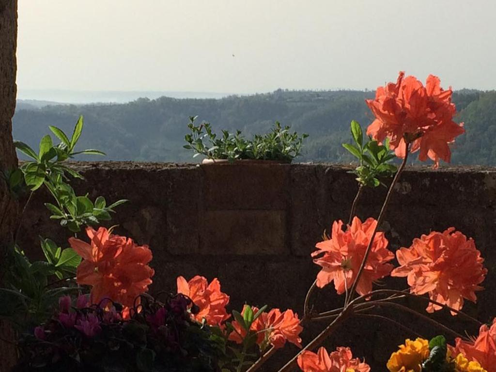 L'Incanto di Civita Bagnoregio Esterno foto